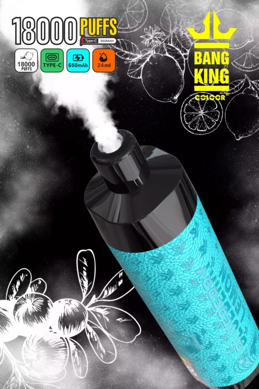 BANG KlNG 18000Puffs 4 1 skaleret