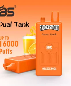 BREZE Bs Smoky 16000 Puffs Premium Dual Tank 8