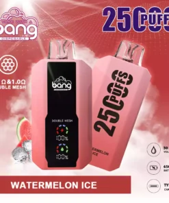 Bang 25000Puffs 13