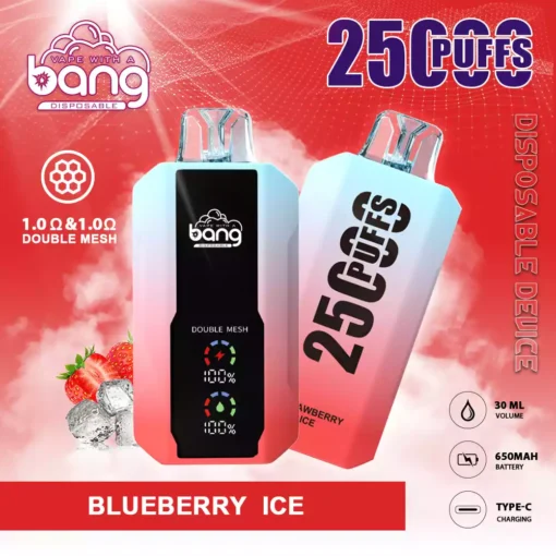 Bang 25000Puffs 2