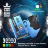 Bang King 30000 Puffs Nouveau rechargeable de haute qualité en vrac Acheter un stylo vape de cigarette électronique jetable en gros 0% 2% 3% 5% à faible teneur en nicotine