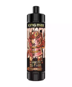 Breze Stiik King Max 10000 Puffs 12