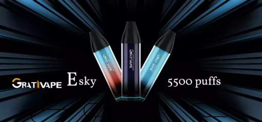 Grativape Esky 5500 10