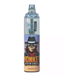 RandM Tornado 7000 Puffs vienkartinis Vape vynuogių ledas 1000x