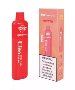 Vasy Elise 5000 Puffs 10