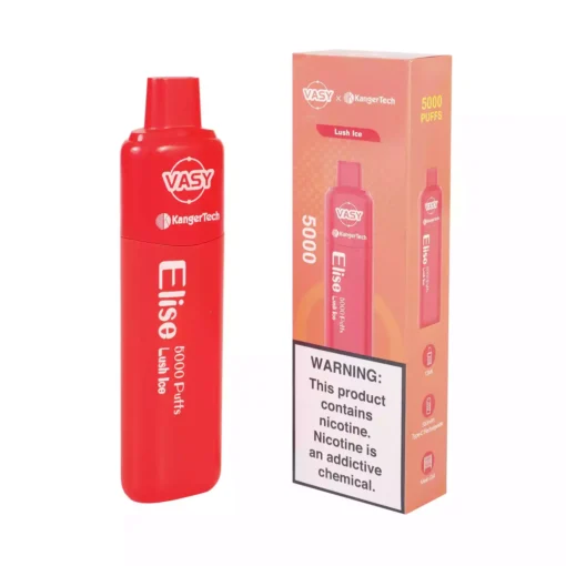 Vasy Elise 5000 Puffs 10