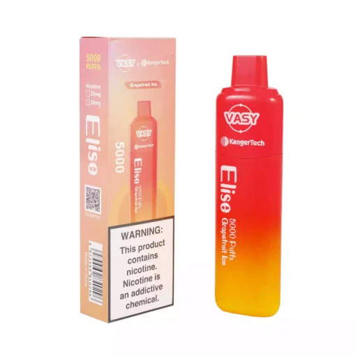 Vasy Elise 5000 Puffs 5