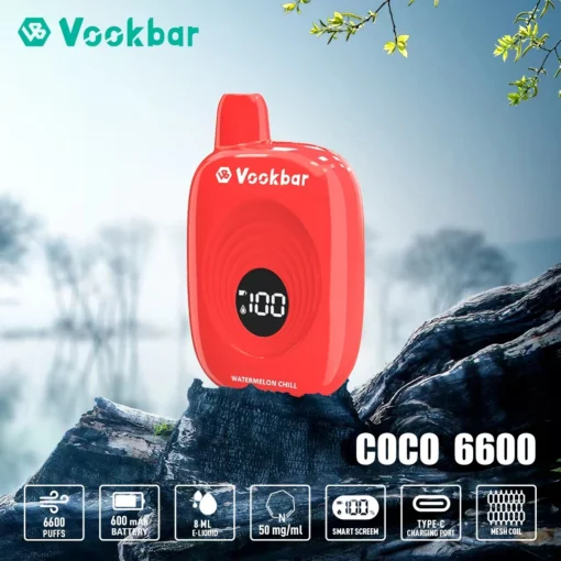 Kit de vape jetable haute capacité Vookbar Coco 6600 Puffs