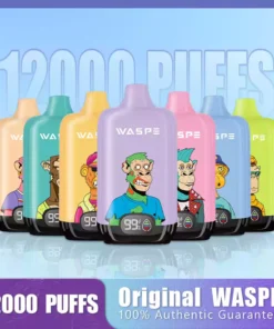 WASPE 12000 PUFFS Digital Box 7