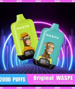 WASPE 12000 PUFFS Digital Box 8