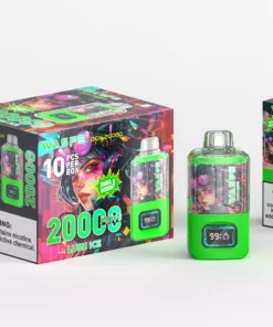 WASPE 20000 PUFFS Dual Mesh Box 17