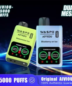 WASPE 25000 PUFFS Dual Mesh Box 10