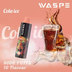 WASPE 8000 PUFFS 2