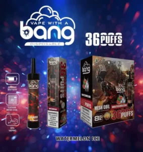 24H vape bang 36000 Puffs Watermelon Ice 654x690.jpg