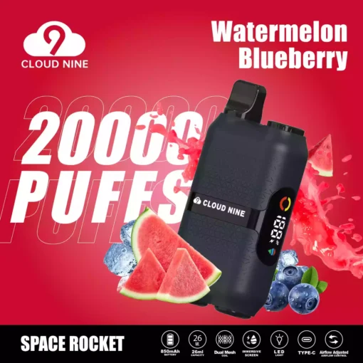 CLOUD NINE D33 Disposable Vape 20000 Puffs 9