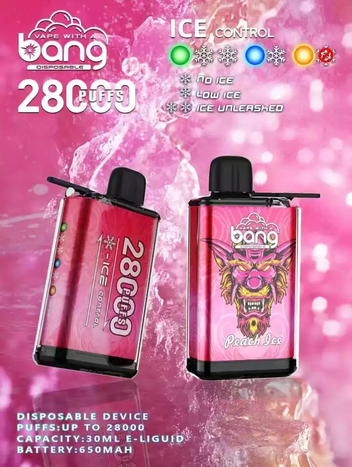 Bang 28000 Puffs Mesh Coil Disposable Vape Wholesale Low Nicotine 0 2 3 5 E Cigarette 12 Flavors Original Factory Shipping 7