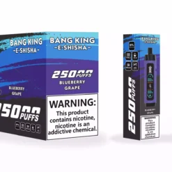 Bang Starry 25000 Puffs Disposable Vape 12 2048x1214 1