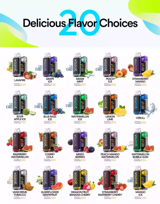 Best Choice Vozol Vista 20000 Puffs Dual Mesh Vape with Digital Display 5% Low Nicotine Factory Wholesale (1) (2)