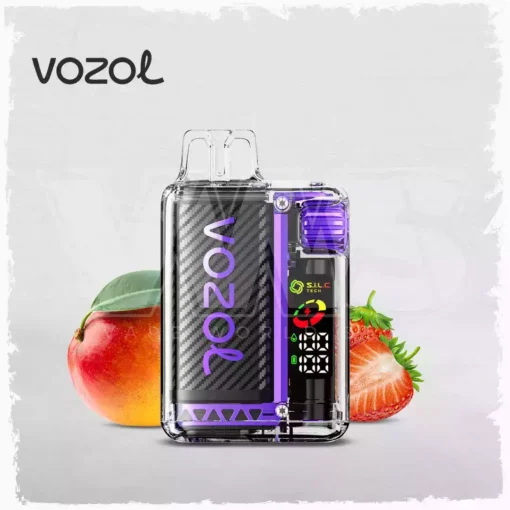 Best Choice Vozol Vista 20000 Puffs Dual Mesh Vape with Digital Display 5% Low Nicotine Factory Wholesale (10) (2)