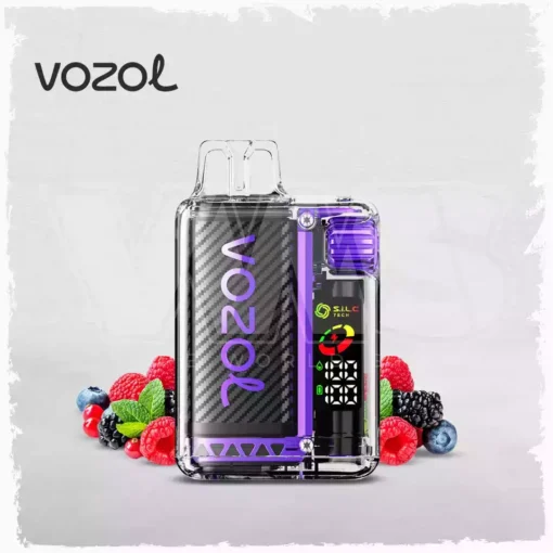 Best Choice Vozol Vista 20000 Puffs Dual Mesh Vape with Digital Display 5% Low Nicotine Factory Wholesale (12) (2)