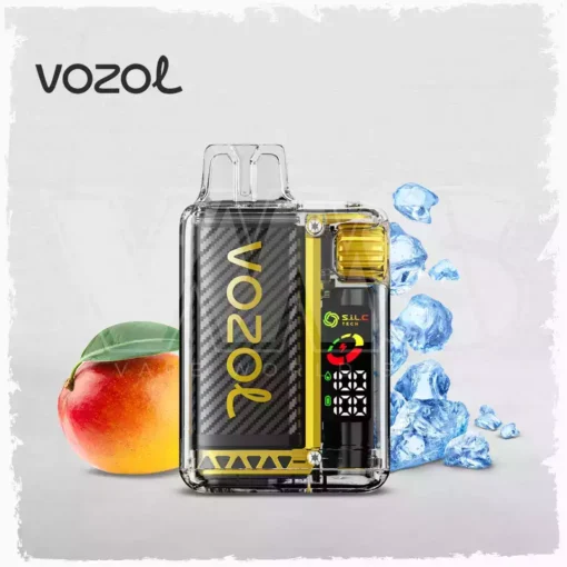 Best Choice Vozol Vista 20000 Puffs Dual Mesh Vape with Digital Display 5% Low Nicotine Factory Wholesale (13) (2)