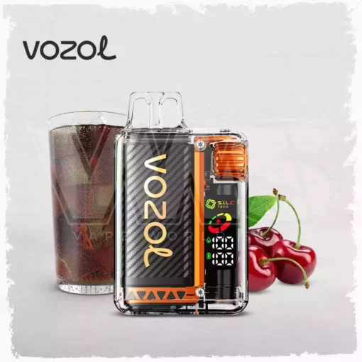 Best Choice Vozol Vista 20000 Puffs Dual Mesh Vape with Digital Display 5% Low Nicotine Factory Wholesale (2) (2)