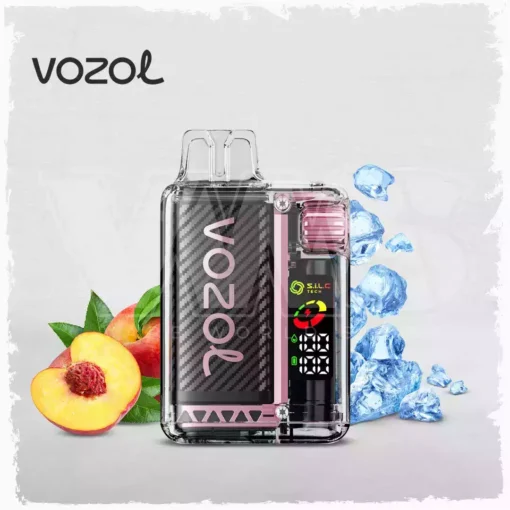 Best Choice Vozol Vista 20000 Puffs Dual Mesh Vape with Digital Display 5% Low Nicotine Factory Wholesale (6) (2)