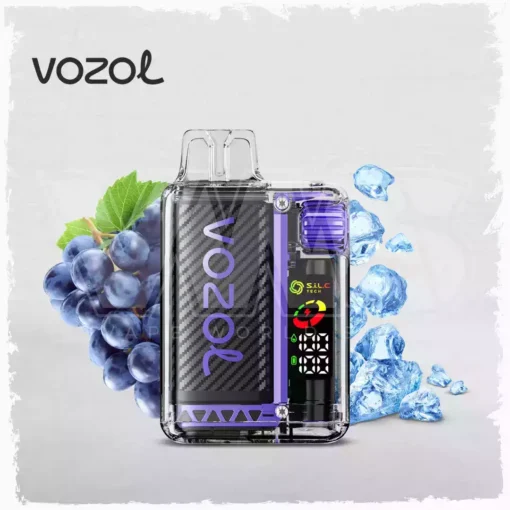 Best Choice Vozol Vista 20000 Puffs Dual Mesh Vape with Digital Display 5% Low Nicotine Factory Wholesale (8) (2)