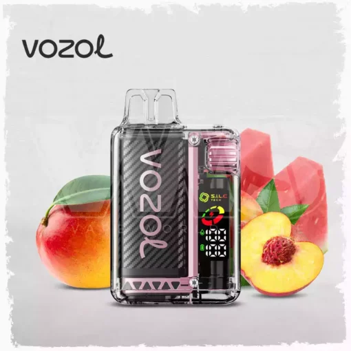 Best Choice Vozol Vista 20000 Puffs Dual Mesh Vape with Digital Display 5% Low Nicotine Factory Wholesale (9) (2)