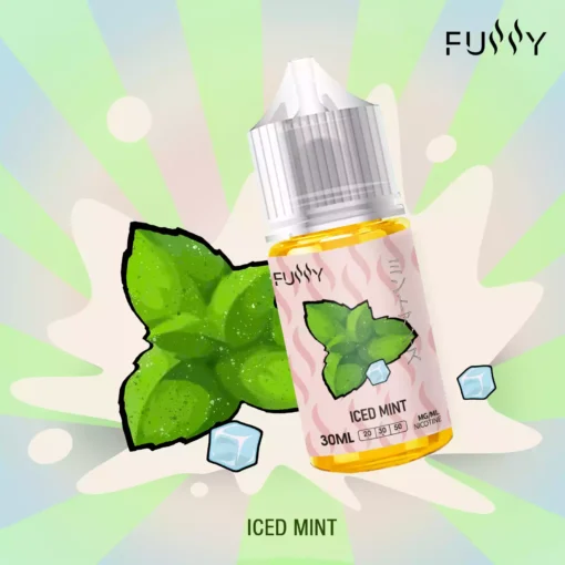 High-Quality Fussy 30ML E-Liquid Wholesale Bulk Purchase 30MG Nicotine 23 Fresh Flavors Save 40% Direct from Factory (10)